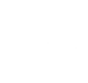 DWI 300x284 - DWI